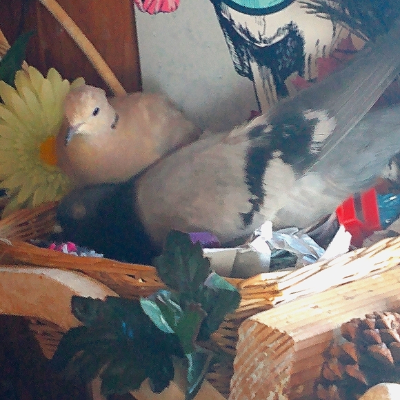 FOLLOW THE NAMES GAME! - Picture 6 of 6